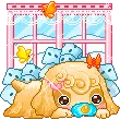 sweet puppy