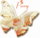 Perry