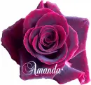 Amanda