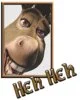 Donkey