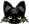 black cat