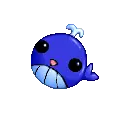 whale
