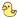 chick