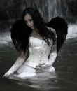 gothic angel