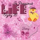 Duck precious life