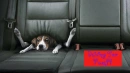 Driving Too Fast