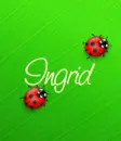 Ladybugs 