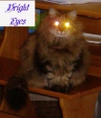 Fuzzball