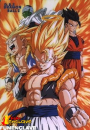 Dragonball