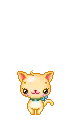 kitty 