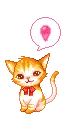 cute kitty