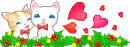 kittens