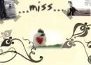miss