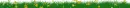 Grass Divider