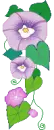 purple flowers