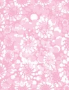 Pink flowers