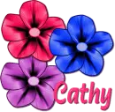 Cathy colored flowers