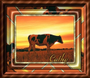 Cow in sunset