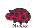 Ladybug Madison