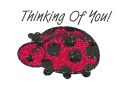 Ladybug Thinking of you
