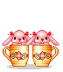 cuties in cups