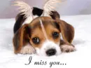 I Miss you