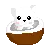Kitten In A Coconut