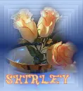 Shirley