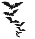 Bats