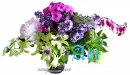 Ari flowers