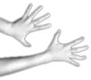 Hands
