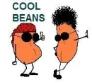 COOL BEANS