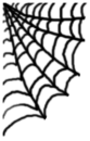 Spider Web Corner