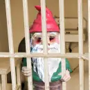 rough night gnome