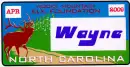 NC License Plate~Wayne