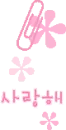 Pink flowers
