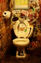 hardcore toilet