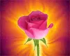 animated rose