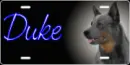 Duke