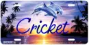 Cricket
