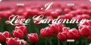 I Love Gardening