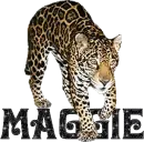 Maggie