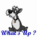 What's up?