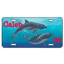 Dolphin Tag- Caleb