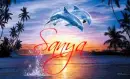 Dolphin Tag- Sanya