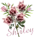 Shirley