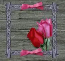 The Rose