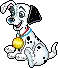 Dalmatian