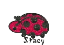 Stacy Ladybug