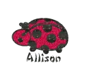 Ladybug Allison